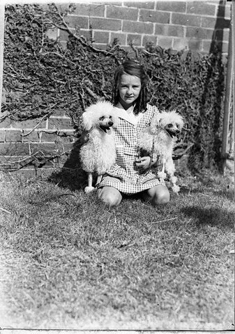 Poodles, 1935