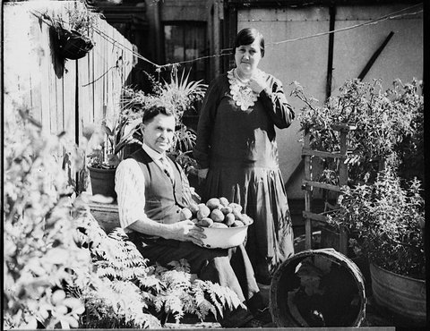 Potatoes Paddington, 1935