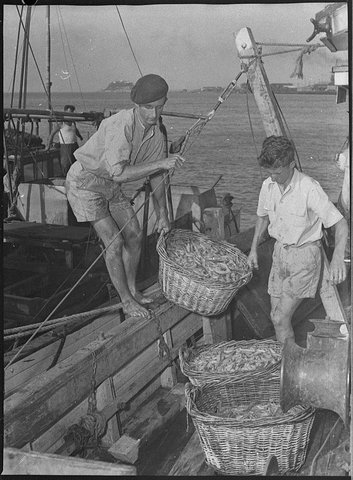 Prawners and boats, 1954