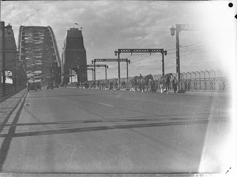 Procession of horses across the Harbour Bridge, 1935