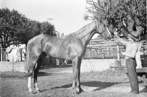 Race horse The Earl, 1934