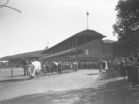 Racehorses paraded in the ring, c. 1935