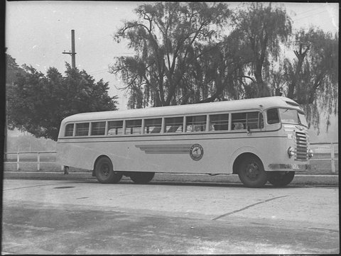 Reo bus, 1950