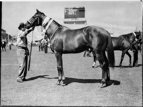 Royal Agricultural Show, 1925–57