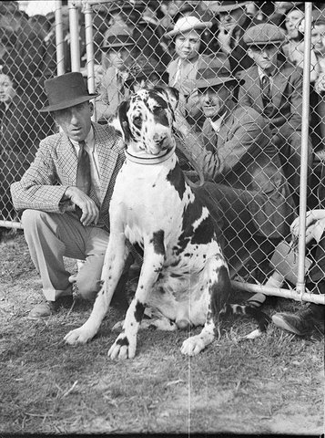 Royal Agricultural Show, 1938