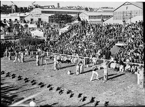Royal Agricultural Show, 1938