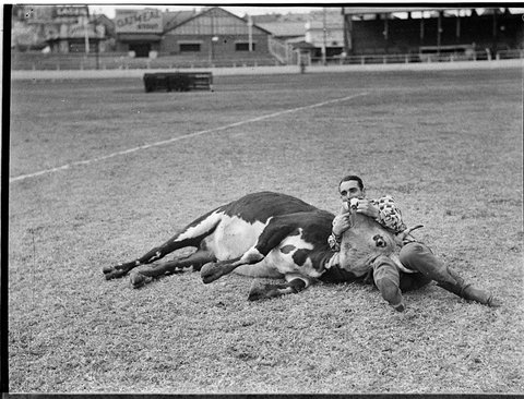 Royal Agricultural Show, 1937