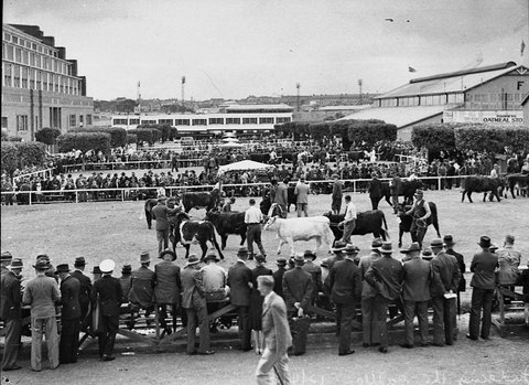 Royal Easter Show, 1938