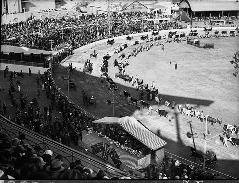 Royal Easter Show, 1938