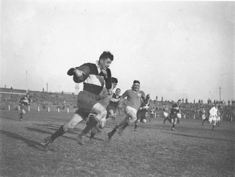 Rugby League at the Sports Ground, 1933–34