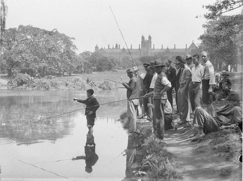 Scene in Victoria Park near Sydney University, 1930s