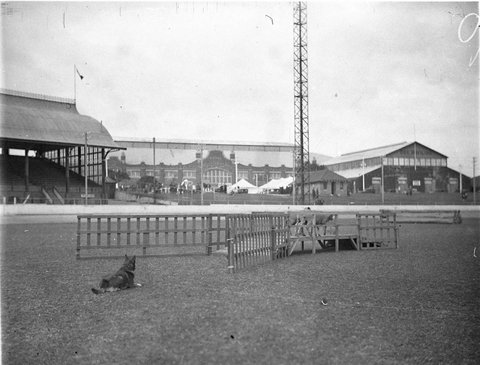 Sheepdog trials, 1930s