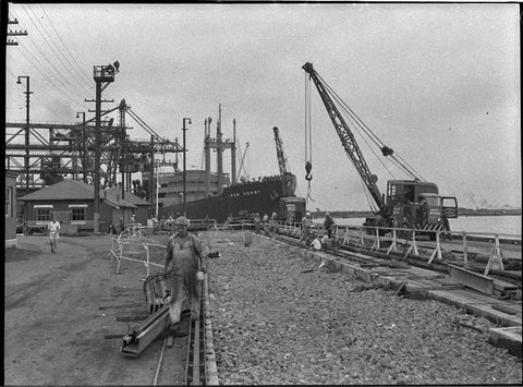 Ships Iron Derby and Baroota loading BHP wharf, 1955