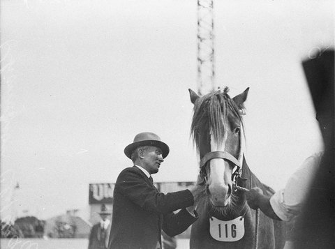 Sir Philip Game ties on ribbon to champion Clydesdale, 1925–57
