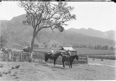 Two woman on horseback with pigs horses and cattle, 1930s