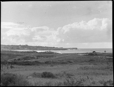 View at Long Bay clouds, 1938
