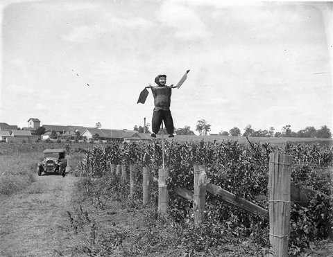 View of the scarecrow with winery in background, 1930s
