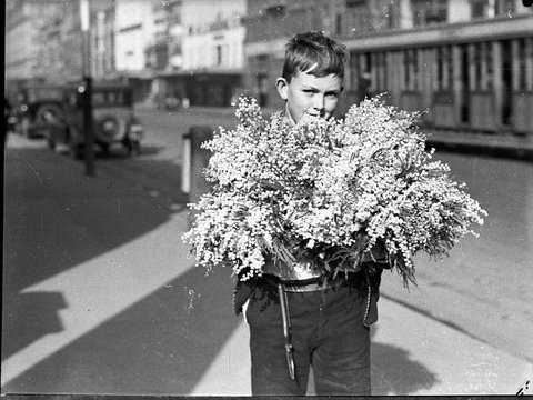 Wattle Day, 1935