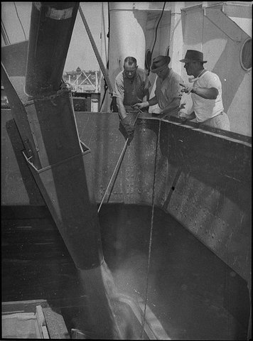 Wheat loading at Silo wharf, 1954