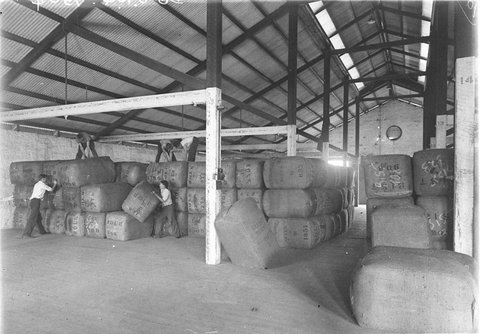 Workmen stacking undumped wool bales, 1930s