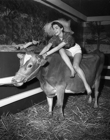 Milky Way (dairy) exhibition, Sydney Town Hall, 12 August 1955 Ern McQuillan