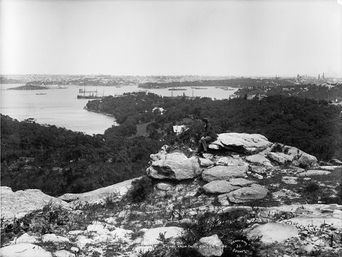 Sydney from Shell Cove, North Shore, c 1900, c. 1900