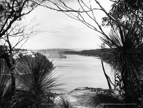 Sydney from Mossman's Bay, c 1900, c. 1900