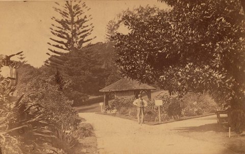 In the Botanic Gardens, 1864-1866, by J.R. Clarke, 1864–66