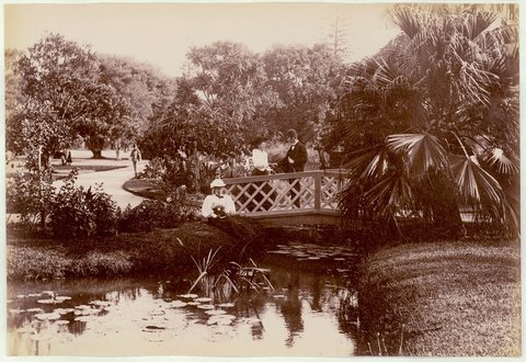 Botanical Gardens, Sydney, c. 1900-1910, 1900–10