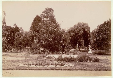 Botanical Gardens, Sydney, c. 1900-1910, 1900–10