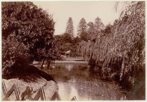 Botanical Gardens, Sydney (showing pond), c. 1900-1910, 1900–10