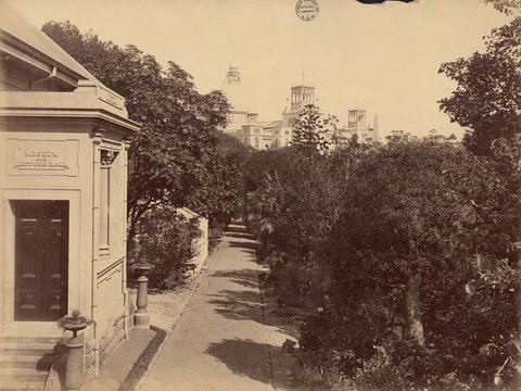 Botanic Gardens (Sydney - attributed to the New South Wales. Government Printing Office), 1879