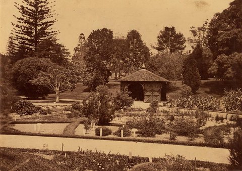Sydney Botanic Gardens, ca. 1879-1882, 1879–82