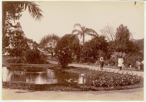 Botanical Gardens, Sydney, c. 1900-1910, 1900–10