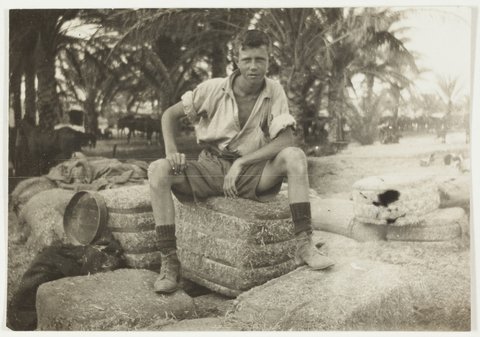 Trumpeter Mulready by J.F. Smith of the 7th Light Horse in Egypt and Palestine, c. 1914-1918, 1914–18