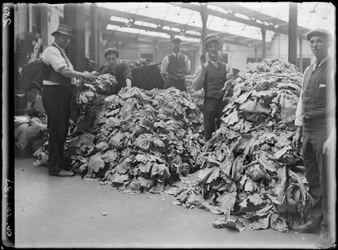 Sydney markets, by Rex Hazlewood, c. 1911-1916, 1911–16