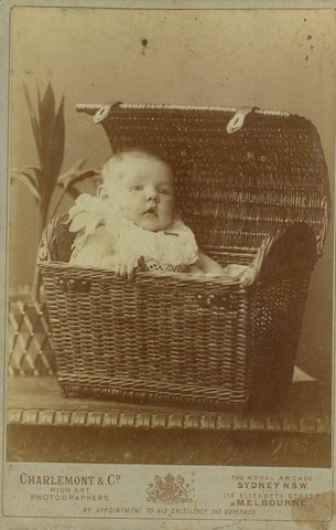 Watson or Playfair family baby in a basket, ca. 1885 - photographer Charlemont and Co., Royal Arcade, Sydney