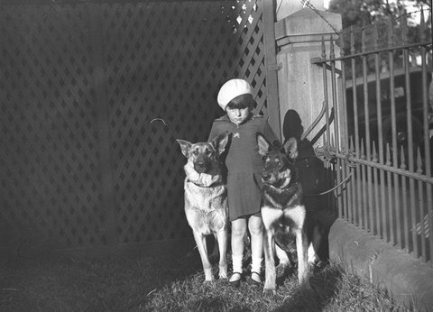 Dog show at Marrickville. Little girl with two Alsatian dogs, 20 July 1934, by Ted Hood