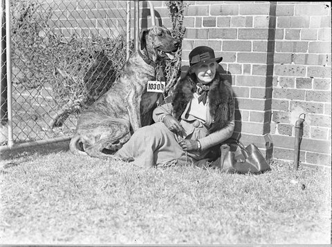 Great Dane and Mrs Phipps, 1935, by Sam Hood