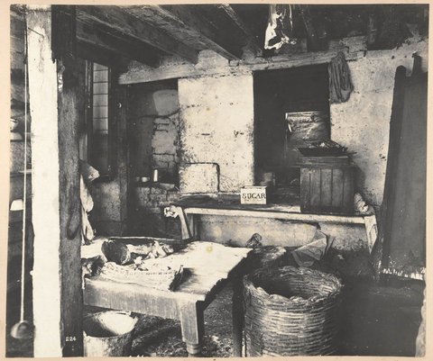 No. 841 George-street (kitchen) from Views taken during Cleansing Operations, Quarantine Area, Sydney, 1900, Vol. IV - under the supervision of Mr George McCredie, F.I.A., N.S.W. photographed by John