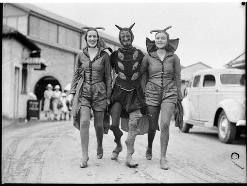 Royal Agricultural Show, 1937, by Sam Hood