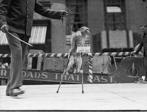 Monkey on stilts for National Road Safety Week procession, Martin Place, Sydney, 1936 - Hood