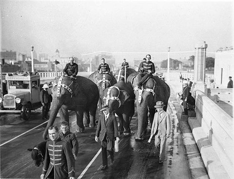 Six big Wirths' Circus elephants with their attendants cross the Bridge, 1932 - Sam Hood