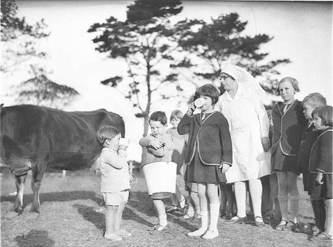 Drinking milk fresh from the cow, Dalwood Home, 1929 - Sam Hood