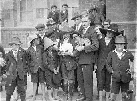 Fort Street schoolboys being shown rabbit fur felt hat-making, 1927 - Sam Hood
