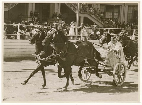 Chariot race, Royal Easter Show, Sydney, 1930s - Sam Hood