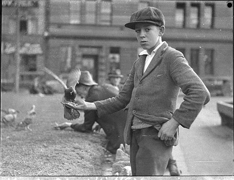 Boy with pigeons at (Circular) Quay, Sydney, 22-6-1935 - by Sam Hood