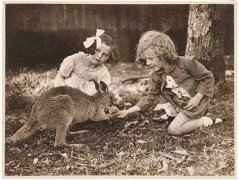 Kangaroo and girls, ca. 1925-ca. 1945 - by Sam Hood, 1925–45