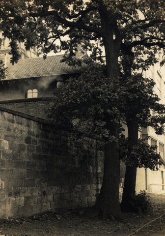 'The Wall' RAHS-Osborne Collection, 1930