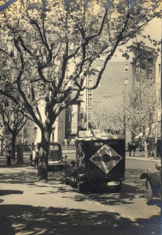 'Spring Sunshine' RAHS-Osborne Collection, 1930